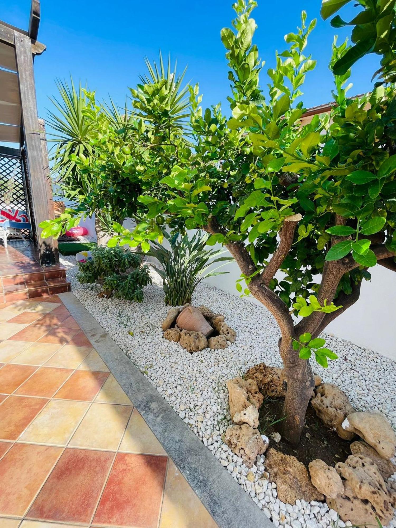 Villa I Mori Di Noro فالديريتْشّي المظهر الخارجي الصورة